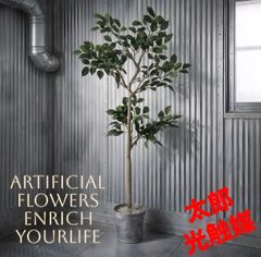光触媒 人工観葉植物 ウォールグリーン フェイクグリーン シェフレラ 