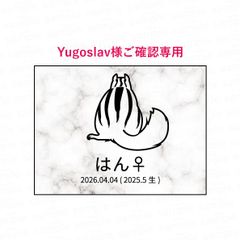 ☆犬服 coocooganmo様専用ページ - メルカリ