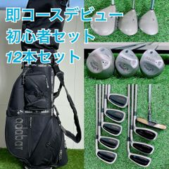 コブラ入り メンズ ゴルフクラブ フルセット 初心者 Rフレックス I3736