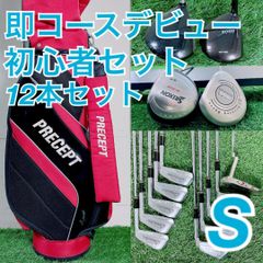 ミズノ レディース ゴルフ クラブ フルセット 即コースデビュー I3456