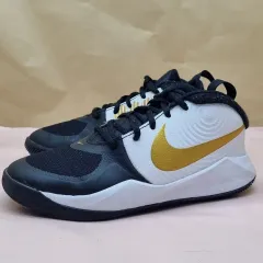 NIKE チームハッスル D9 バスケシューズ 230