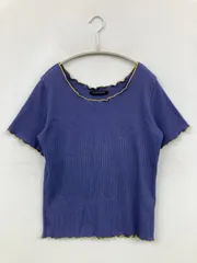 alicia PAGEBOY アリシアページボーイ Tシャツ/カットソー F ブルー 無地 ショート丈 半袖 クルーネック(丸首)