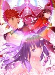 극장판 [Fate / stay night [Heaven 's Feel]] III.spring song (완전 생산 한정 (중고품)