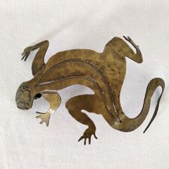 アクアプラント 守亜作 ヤミイロホソユビヤモリ イラスト - メルカリ