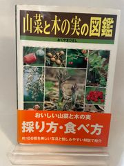 おきなわの薬草百科 多和田真淳 大田文子 那覇出版社 沖縄 絶版 希少本