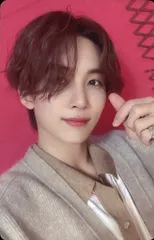 SEVENTEEN ひとりじゃない JEONGHAN トレーディングカード