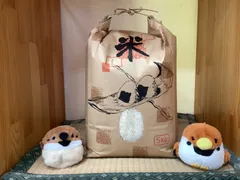 【今だけ限定の米袋でお届け☆】【単一原料米】【白米】令和7年度　岡山県産　ひのひかり　5キロのサムネイル