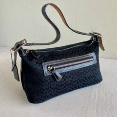 極美品 COACH アクセサリーポーチ ハンドバッグ シグネチャー 6044