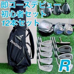 ゴルフクラブ フルセット テーラーメイド BURNER入り 初心者 D3954