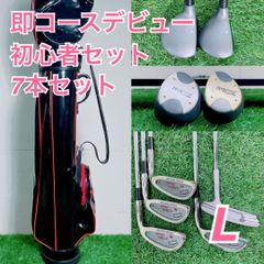 ゴルフ クラブ レディース 初心者セット 即コースデビュー 7本 E3495