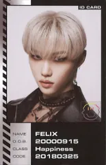 StrayKids IDカード FELIX ODDINARY