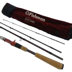 2026年最新】Fishman bc4の人気アイテム - メルカリ