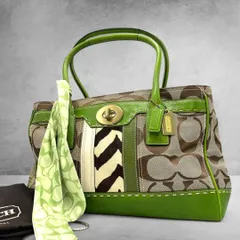 Coach Zebra Haircalf Bag Green Leather