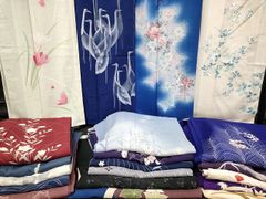 Antique Kimono 夏の風情とんぼ 単衣正絹縮緬&夏帯 絽半衿 長襦袢