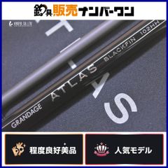 専用。アピアGRANDAGE RUTHLESS S86MHT 磯尺メバル特化。 - メルカリ
