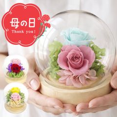 設楽聖司 プリザーブドフラワー ときメモGS3 - メルカリ