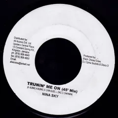 7” Nina Sky, Baby Cham Turnin Me On NONE Black Chiney Records /00080
