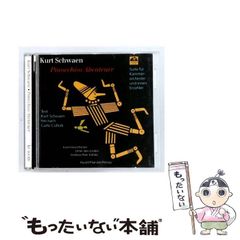 コンテンポラーネア クイーカ 8インチ ケース・チューニングキー付