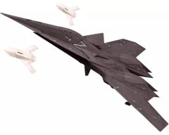F117ステルス攻撃機(82-0806) 被撃墜機破片？ 1/144 模型付き - メルカリ