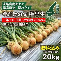 特大玉割‼️ 畑のルビー‼️ 食べる輸血と話題の赤穂ビーツ 20kg - メルカリ