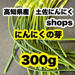 専用出品　農薬未使用　土佐ニンニク2.5kg 高知県産 土佐にんにく ニンニクの芽 農家直送！ 野菜 Trv - メルカリ