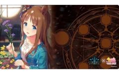 [중고] 공급 Shadowverse EVOLVE 공식 고무 매트 Vol.20 Shadowverse EVOLVE [글라스 원더]