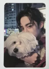 SEVENTEEN セブンティーン エスクプス FML MUSICPLANT ミュープラ 特典 トレカ