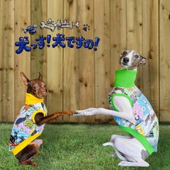 ハンドメイドフレブル　パグ服　　ひんやりタンク　　鯉のぼり　　サン吉 ハンドメイドフレブル パグ服 ひんやりタンク 鯉のぼり サン吉様専用