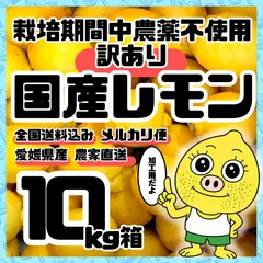 外観不良の訳あり・農薬不使用の国産レモン 10kg箱【愛媛の農家直送/農薬不使用の特別栽培基準/全国追加送料なし】2026/06/30のサムネイル
