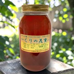 国産純粋 山蜂蜜 600g×6本 - メルカリ