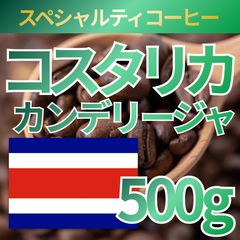 日本未発売☆スターバックス キャラメル ペパーミントモカ