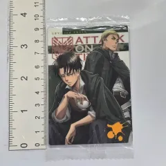 進撃の巨人 リヴァイ・アッカーマン エルヴィン・スミス ウエハース プラスチックカード