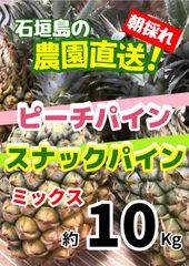 沖縄県石垣島産スナックパインピーチパインミックス 計約10Kg - メルカリ