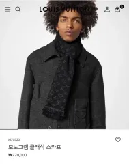 Louis Vuitton ルイヴィトン マフラー