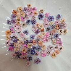 ドライフラワー 在庫整理 訳あり貝細工ヘッド ドライフラワー 在庫整理 訳あり貝細工ヘッド① - メルカリ
