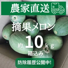 【法人様向け・飲食店様向け・業務用】【大容量】【農家直送】【北海道・四国・九州・沖縄配送不可】栃木県産 摘果メロン 箱込み約10kg ｜防除履歴公開中！安心・安全の品質｜今だけの旬の味覚 栃木県 真岡市産 産地直送 新鮮 野菜 直売所