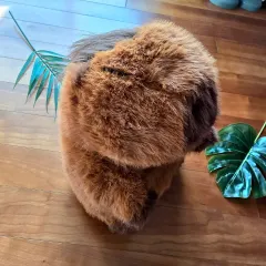 (新品) カピバラ 머리묶기 ぬいぐるみ