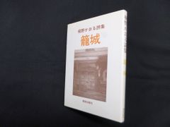 【希少】遊園地の文化史　中藤保則 著/加藤秀俊 解説 希少】遊園地の文化史 中藤保則 著/加藤秀俊 解説 - メルカリ
