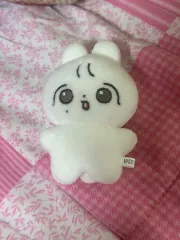 SEVENTEEN(セブンティーン・セブチ) ジョンハン(JEONGHAN) ぬいぐるみ 뽀쫑이 出品