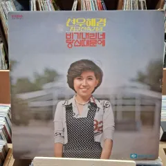 行こう 早い ソン・ウ・ヘギョン 地球免除記念碑 雨が降っている LP