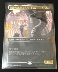 討論するもの、シルバークイル ボーダーレス foil - メルカリ