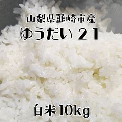 幻のお米 令和7年度『いのちの壱』 岐阜県産 新米 白米 10kg 送料