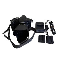 美品 撮影画像あり Panasonic DMC-FZ10 付属品あり 光学12倍 - メルカリ