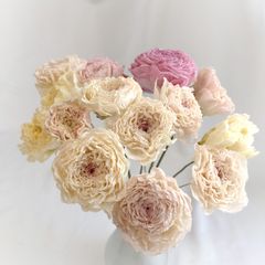 ピンク系ラナンキュラス7本の切花セット 生花 ネコポス - メルカリ