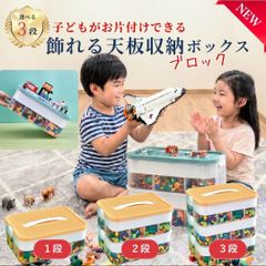 LEGO Storage Box, 2-Tier, Large Capacity, LEGO Blocks, Toy Storage Case, Easy Cleanup for Kids, Stylish, with Lid, Stackable, Block Storage Box, LEGO Small Item Storage, Dividers, Toy Storage, Beads, Parts Case, with Lid, Educational, Free Shipping