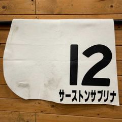 レース実使用ゼッケン】レース使用ゼッケン 競馬ゼッケン ゼッケン