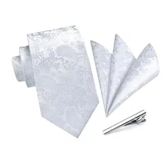 【新品】 [HISDERN] シルバー ネクタイ 結婚式 メンズ フォーマルブランド ネクタイ ポケットチーフ 3点セット ペイズリー柄 プレゼント 高級 ボックス付き ビジネス 慶事 披露宴 紳士 礼服 A3-03 1