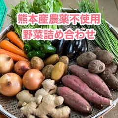 熊本産農薬不使用野菜詰め合わせ120サイズ+農薬不使用玄米 熊本産農薬不使用野菜詰め合わせ80サイズ - メルカリ