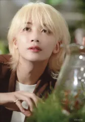 【中古】生写真(男性) SEVENTEEN/ジョンハン(JEONGHAN)/「SEVENTEEN JAPAN 4TH SINGLE 消費期限 MERCHANDISE」PRINTED PHOTO