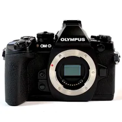 2026年最新】オリンパスom-d e-m1xの人気アイテム - メルカリ